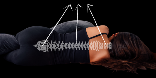 Ergonomska Podpora za Hrbet - Zakaj je Pomembna?